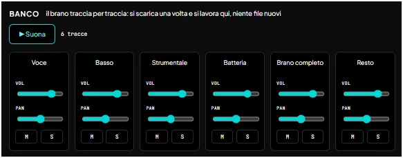 Il banco delle tracce: voce, basso, batteria e il resto, ognuna col suo volume, pan, mute e solo